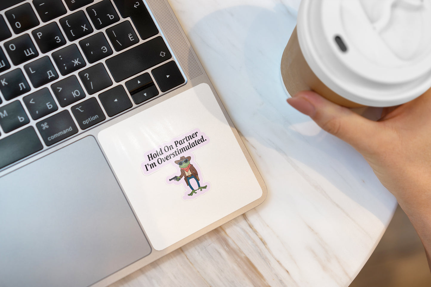Hold On Partner I’m Overstimulated Sticker Pack (Set of 3), Funny Cowboy Frog Sticker, Introvert Humor Decal, Quirky Vinyl Sticker, Laptop Sticker